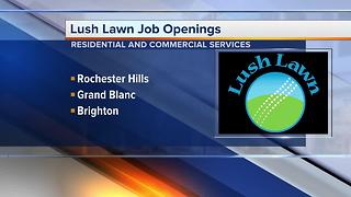 Workers Wanted: Lush Lawn job openings