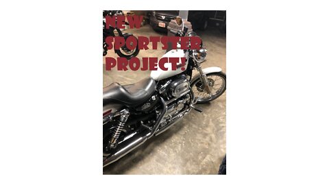 New Sportster Project