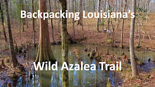 Backpacking Louisiana's Wild Azalea Trail