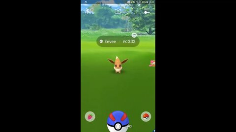 Live Pokémon GO - Dia Comunitário de Eevee