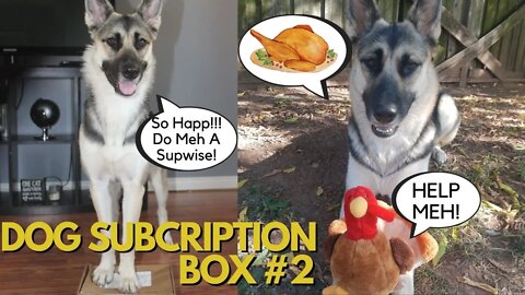 Dog Subscription Box September 2020 / Woof Pack (Husky-Shepherd Mix)