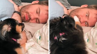 Puppy is done with owner talking over her, covers his mouth