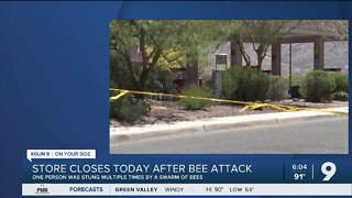 Bee swarm shuts down Oracle Road convenience store