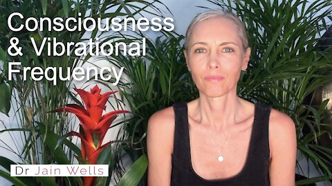 21. Consciousness & Vibrational Frequency