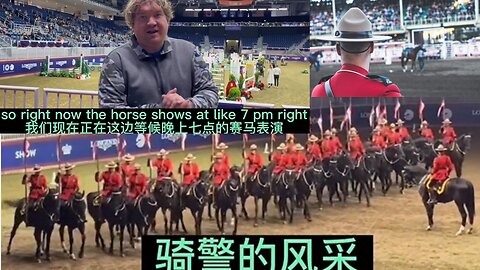 A foreigner wants to surprise his Chinese wife by taking her to see a horse riding show.