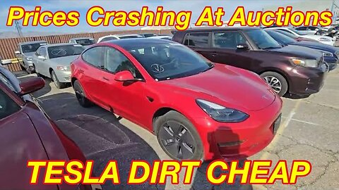 Tesla Prices Are Crashing At Auctions, Copart Walk Around, Tesla Edition