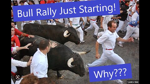 Bull Market Will Continue, Bank Short Squeeze, USD fake out, a trader tip & Copy Trading Services