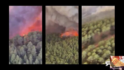 Shocking Videos Prove Maui Police Barricaded Families Inside Firestorm!