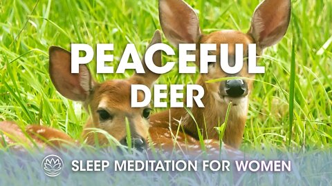 The Peaceful Deer // Sleep Meditation for Women