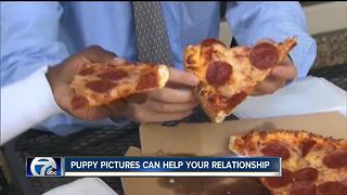 Relationship Advice: Look at pictures of puppies, pizza