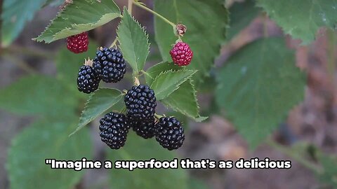 Blackberries are some of the best fruit for your body