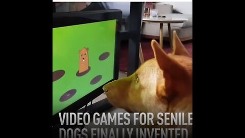 VIDEO GAMES FOR SENILE DOGS FINALLY INVENTED
