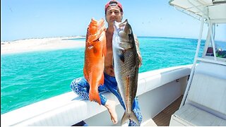 A Day Spearfishing Remote Australian Islands