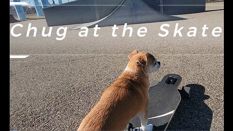 Chug goes to the skatepark