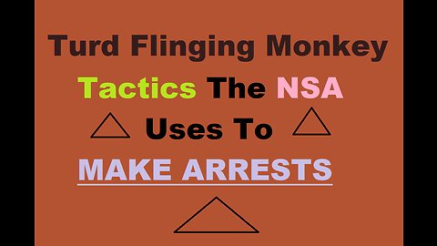 Turd Flinging Monkey MGTOW - NSA Secrets + How NOT To Get ARRESTED By GLOWIES & Jordan Petersen