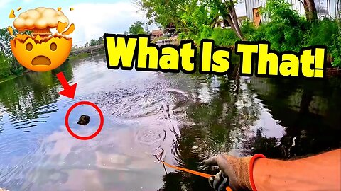 Ultimate Dumpsite Exposed While Magnet Fishing Behind Workshop!