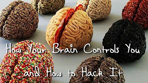 How Your Brain Controls You and How to Hack It