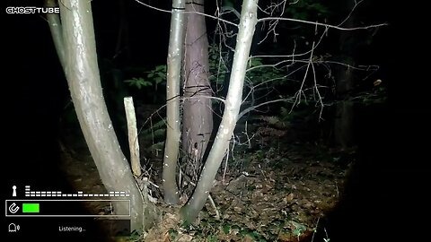 ALONE AT BINSTED WOODS #SCARY #HAUNTED #PARANORMAL