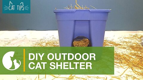 Cat Tips: DIY Cat Shelter