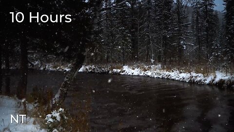 Winter River Sounds in Snowy Forest: Flowing Water & Cold Wind Sounds for Sleeping FAST: White Noise