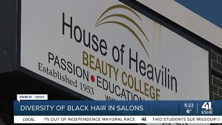 Diversity of Black hair in salons