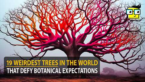 19 Weirdest Trees In The World That Defy Botanical Expectations