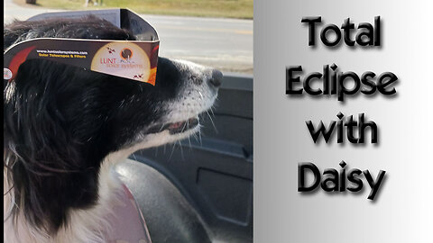 Total Solar Eclipse with Daisy Dog