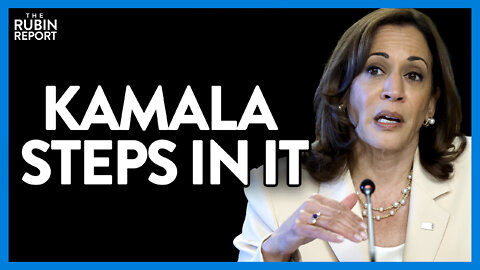 Kamala Harris Incites Outrage with Blatantly Anti-White Remarks | DM CLIPS | Rubin Report