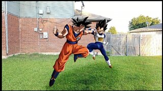 Goku vs Vegeta (Part 1)