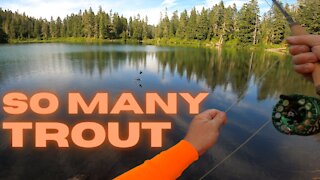 30+ Trout fishing in BEAUTIFUL Washington Alpine Lake