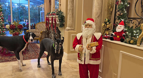 Happy Great Danes Goodbye Christmas Decor & Hello New Year Home & Garden Tour