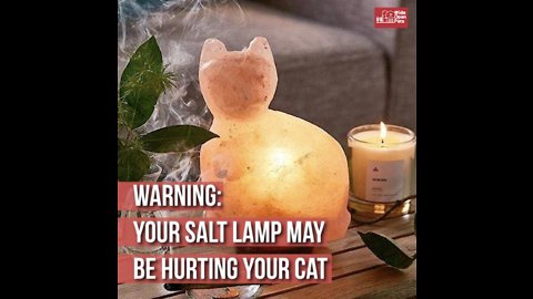 Himalayan Salt Lamp Putting Cat's Life in Danger