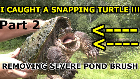 INSANE Pond Landscaping Makeover!!! Plus: HAND Caught SNAPPING TURTLE! Part 2 ( Toad Man Tropicals )