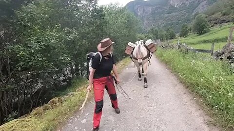 Packhorse trip to Sinjarheim #aurland