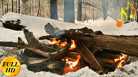 Winter forest сozy bonfire🔥FullHD🔥True cute fire sound ⛺️Quiet MUSIC⛺️ Burning campfire on Bonfire Vibez