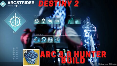 Destiny 2 ARC 3.0 Hunter Build (Assassins Cowl Exotic)