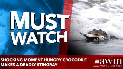 Shocking moment hungry CROCODILE makes a deadly STINGRAY
