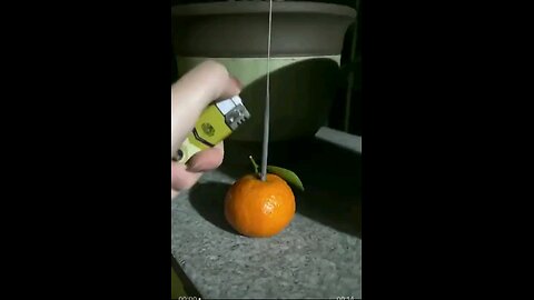 The remarkable effect of a sparkler burning inside a mandarin