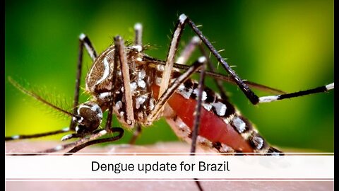 Dengue update in Brazil