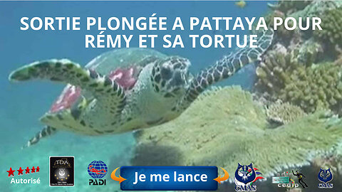🤿 Sortie Plongée a Pattaya pour Rémy et sa tortu