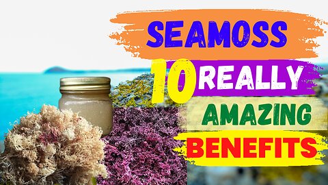 Sea Moss 92 Minerals + [10 Amazing Health Benefits]
