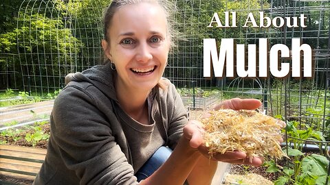 Mulching 101: Why I Mulch My Vegetable Garden (Plus Some Great Mulch Options!)