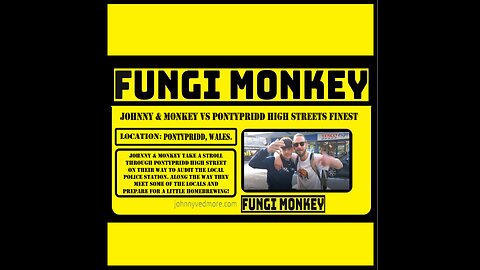 Johnny & Monkey vs Pontypridd High Streets Finest - Audit Everything with Fungi Monkey