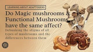 MAGIC MUSHROOMS | FUNCTIONAL MUSHROOMS | Are Magic Mushrooms and Functional Mushrooms the same