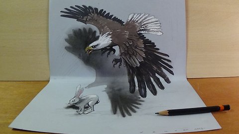 Art in 3D, Drawing a Hunting Eagle, Awesome Animals by Vamos