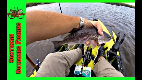 Inshore Backwater Red Drum Fishing Trip