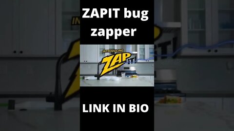 Zap it bug zapper Fly Zapper Racket, Electric Fly Swatter, Mosquito Zapper, 4,000 Volt #shorts