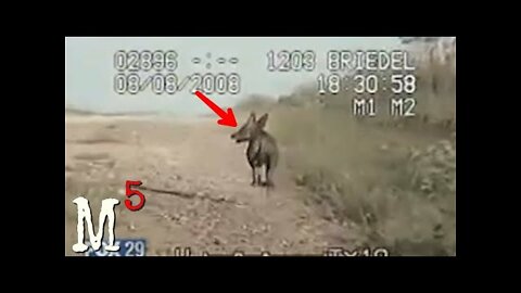 5 Crazy & Mysterious Police Dash Cam Videos