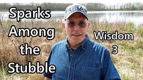 Sparks Among the Stubble: Wisdom 3