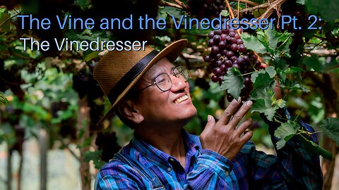 The Vine and The Vine Dresser Pt. 2: The Vinedresser